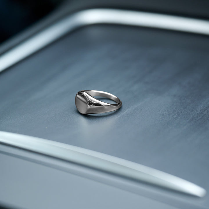 Ian - zegelring roestvrij staal