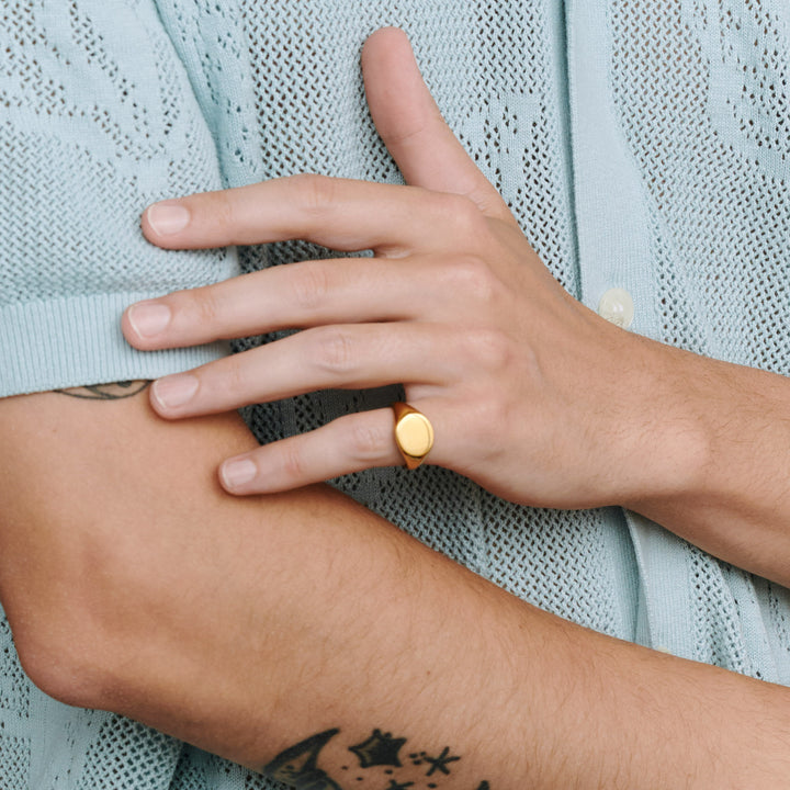 Ian - zegelring roestvrij staal