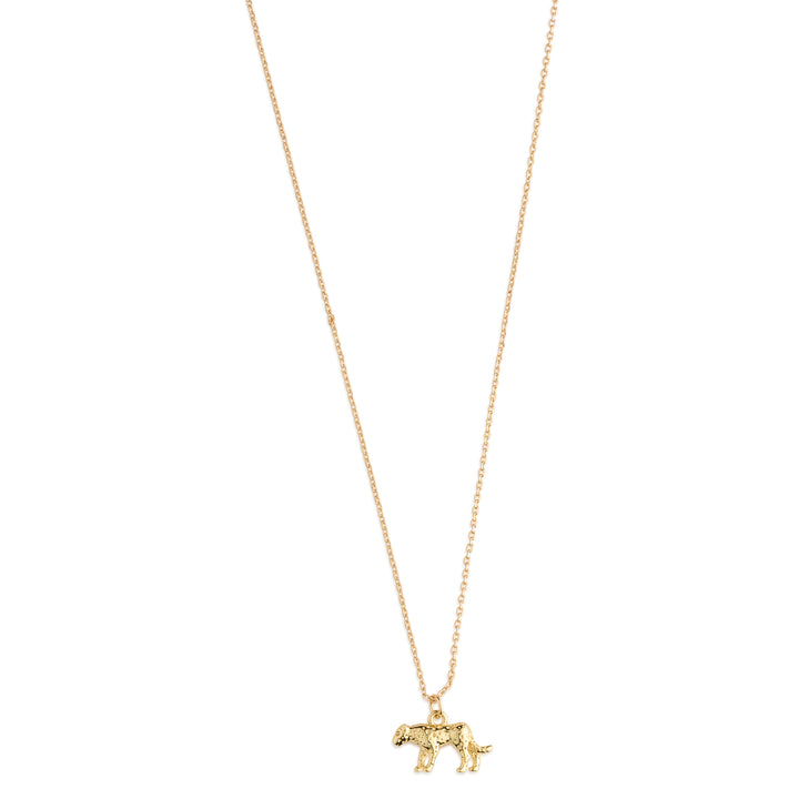 Quinn - Gouden Leoprint Charm Dangle Ketting