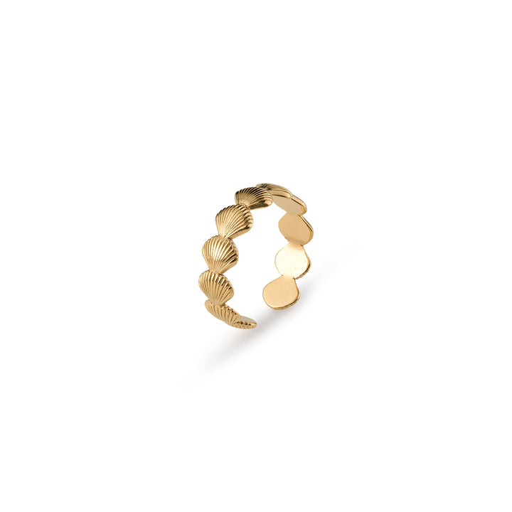 Ane - Seashell Adjustable Ring Stainless Steel