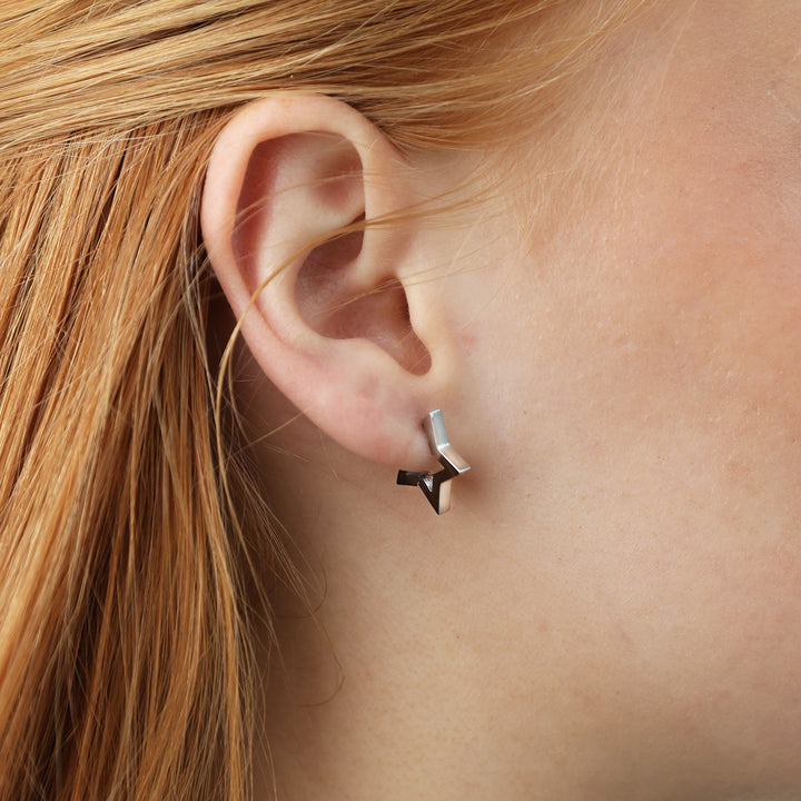 Vilda - Ster Oorringen Hoepel Roestvrij Staal