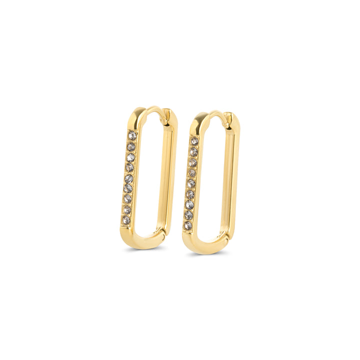 Celeste - Kristal Oorringen in Hoepelvorm van Roestvrij Staal