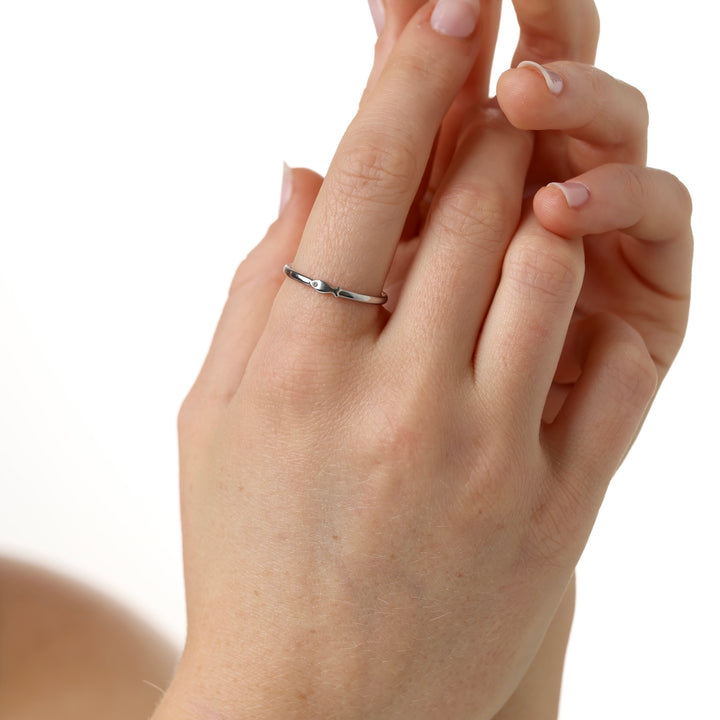 Aruba - Visring Roestvrij Staal