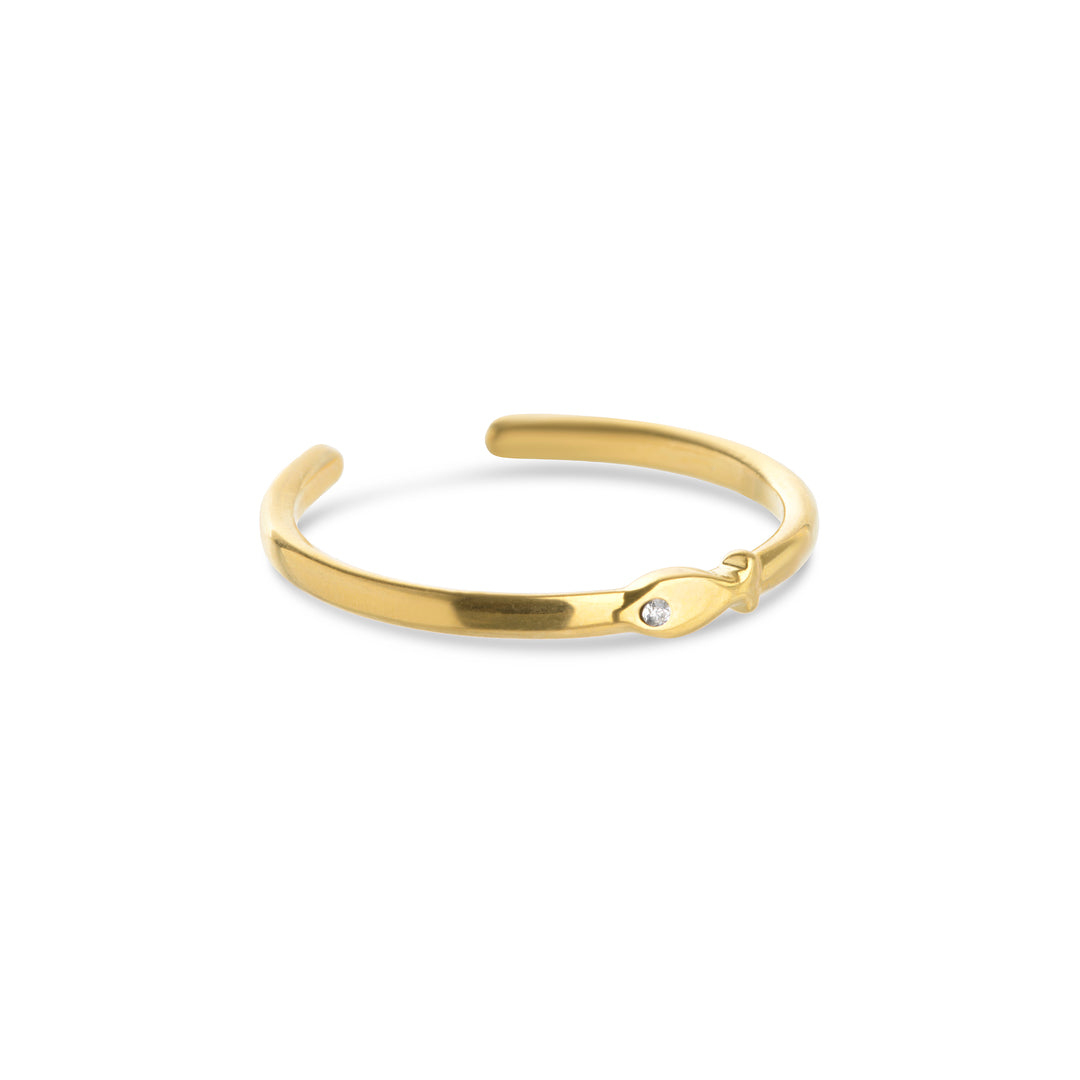 Aruba - Visring Roestvrij Staal