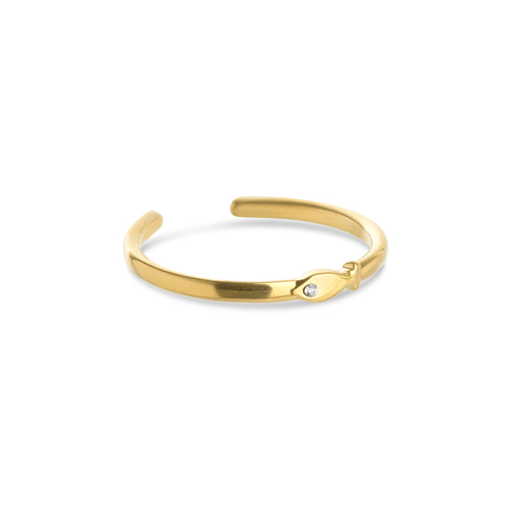 Aruba - Visring Roestvrij Staal