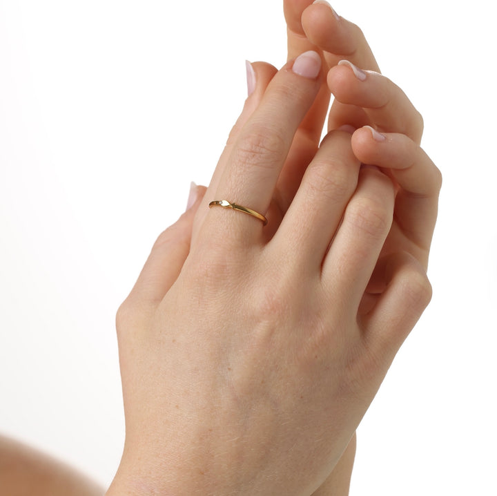 Aruba - Visring Roestvrij Staal