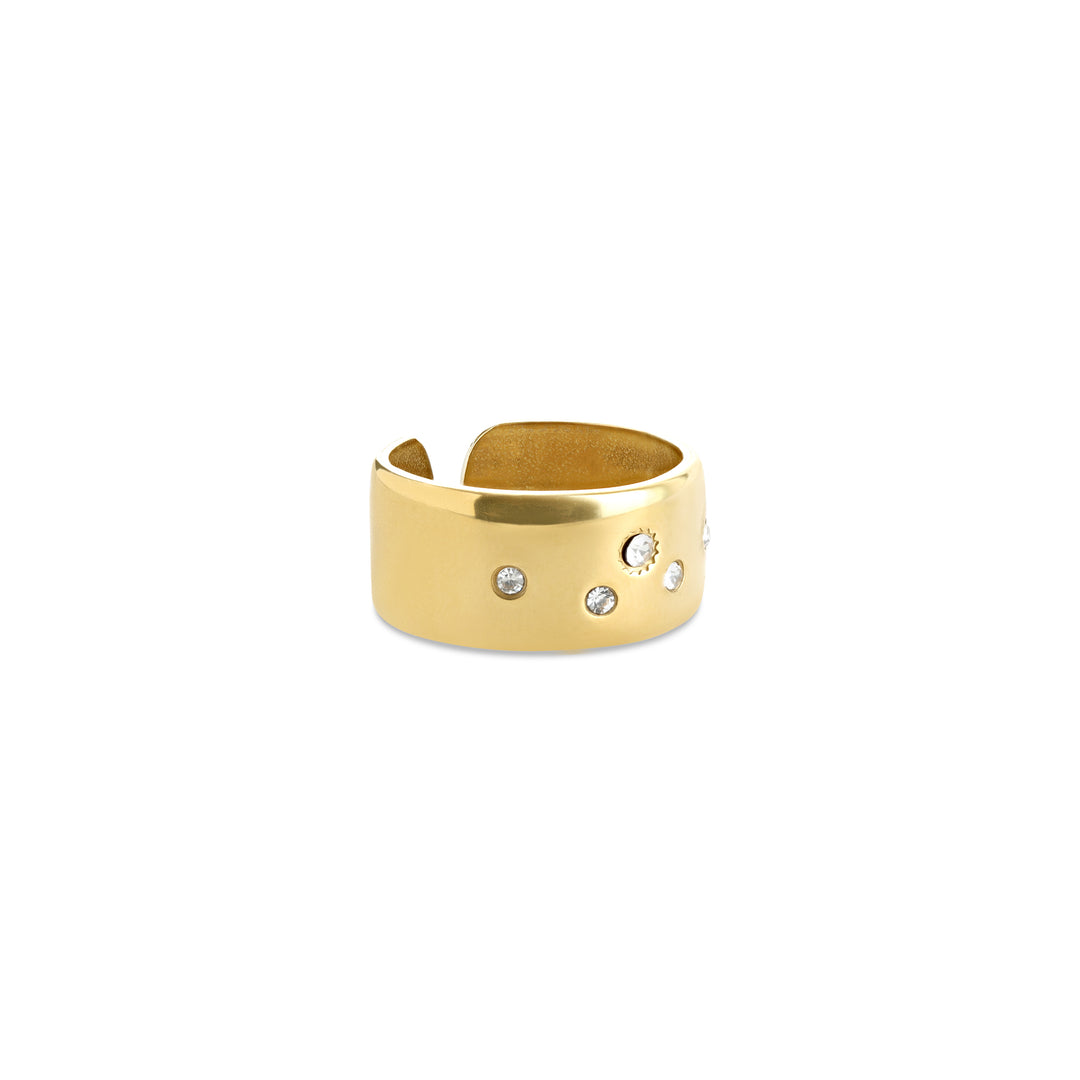 Bahi – statement ring met kristal van roestvrij staal, goud | Timi of Sweden