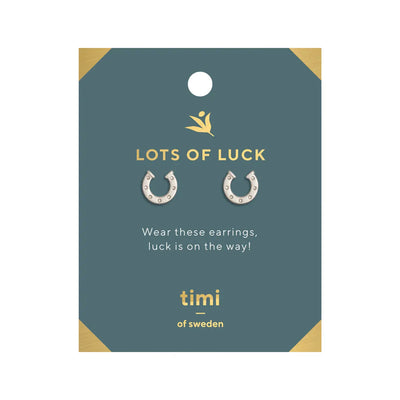 Lots of Luck Horse shoe Earrings Silver