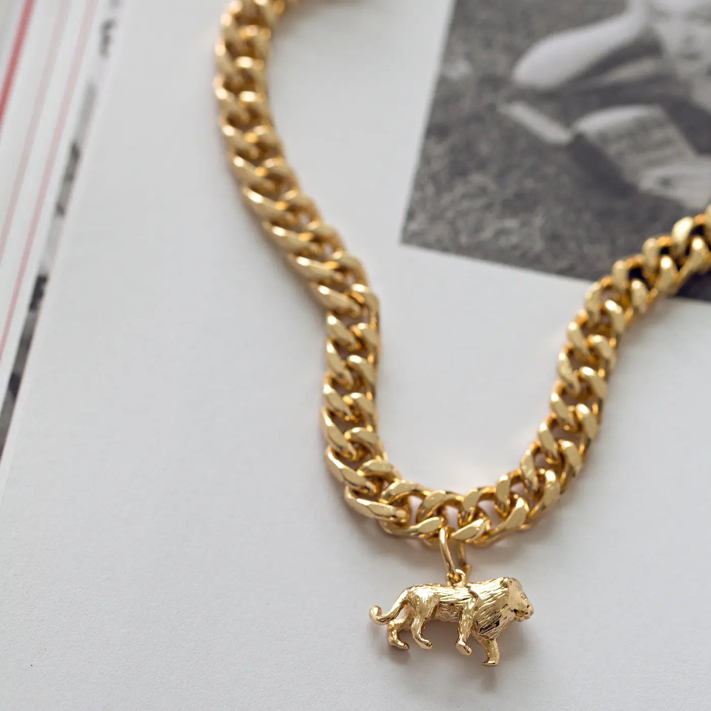 Leeuw dikke ketting ketting